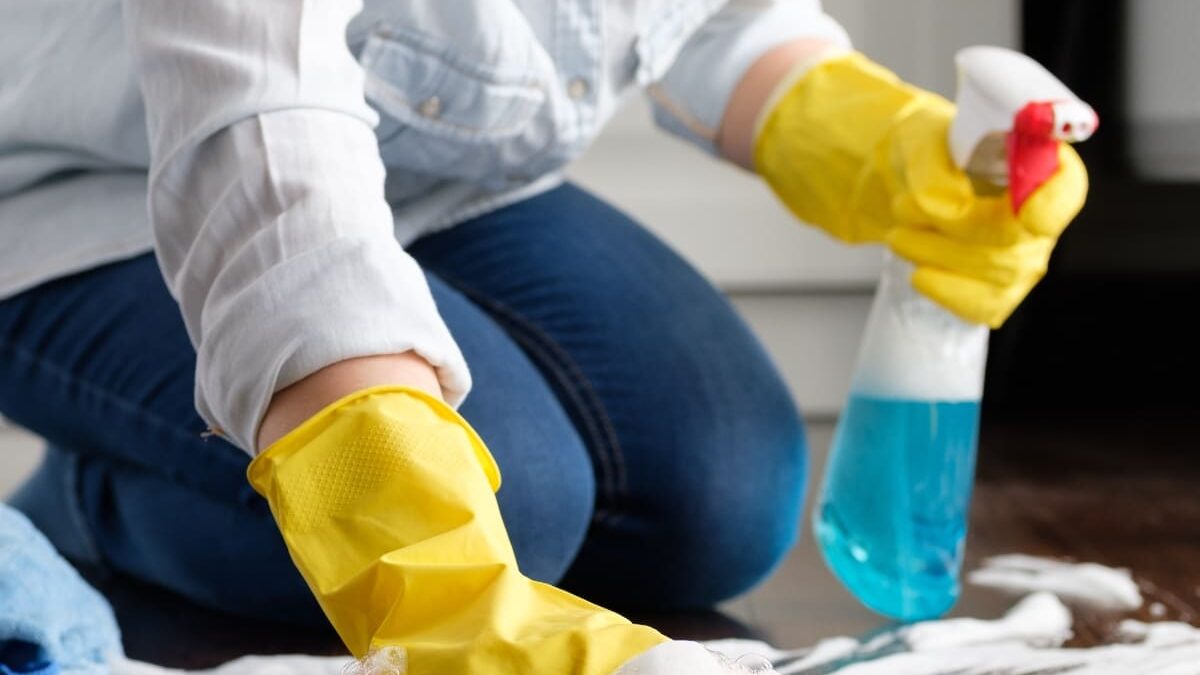 Royal Gold Temizlik Florya Ev Temizliği